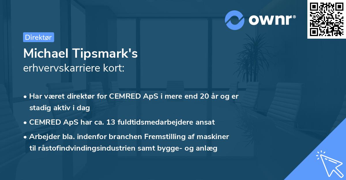 Michael Tipsmark's erhvervskarriere kort