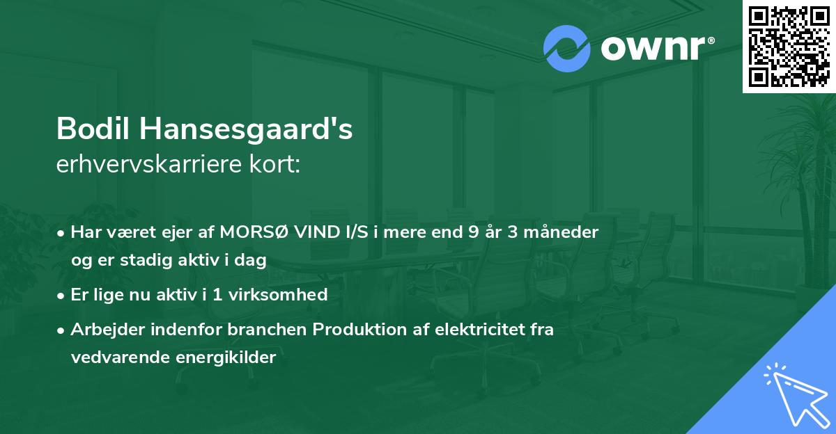 Bodil Hansesgaard's erhvervskarriere kort