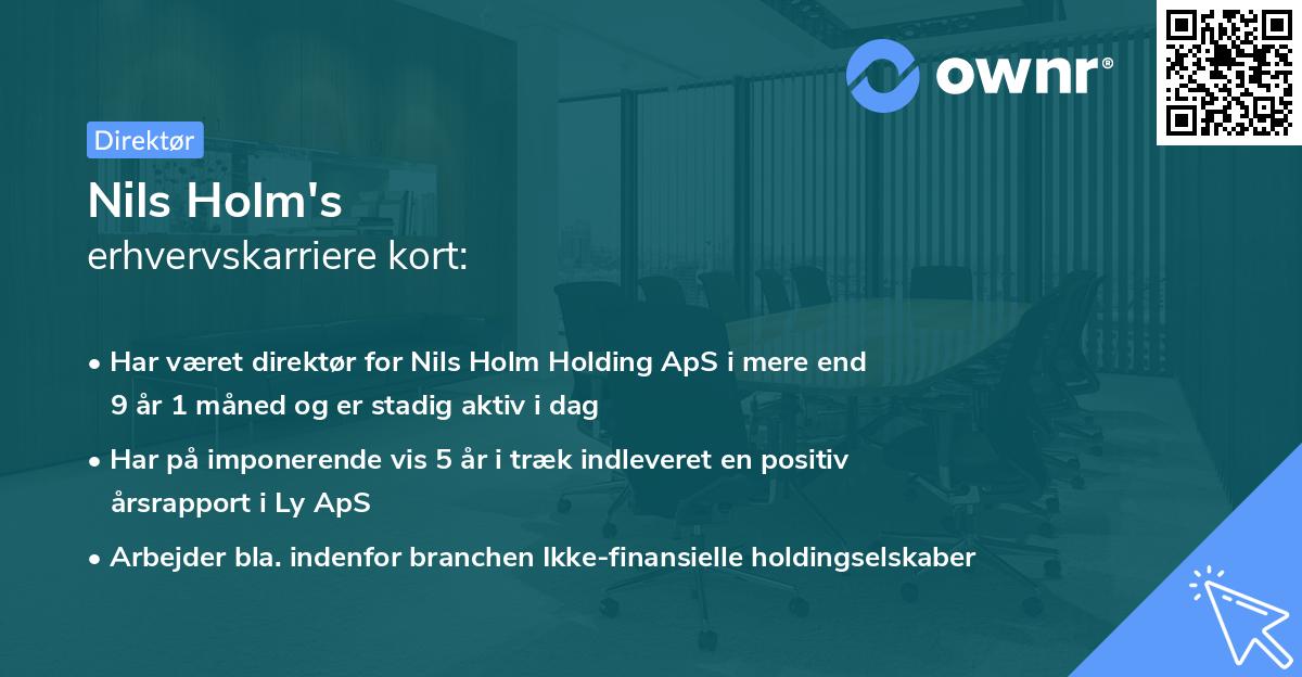 Nils Holm's erhvervskarriere kort