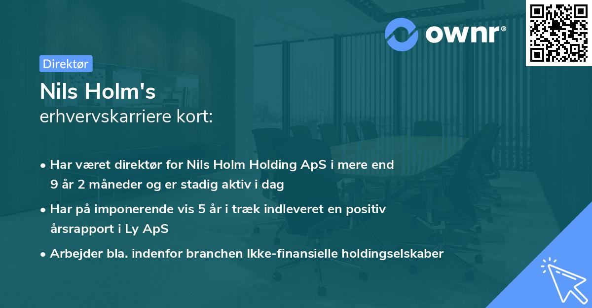 Nils Holm's erhvervskarriere kort