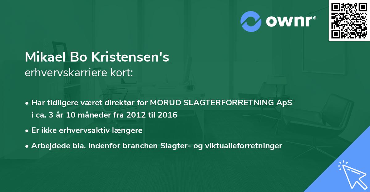 Mikael Bo Kristensen's erhvervskarriere kort