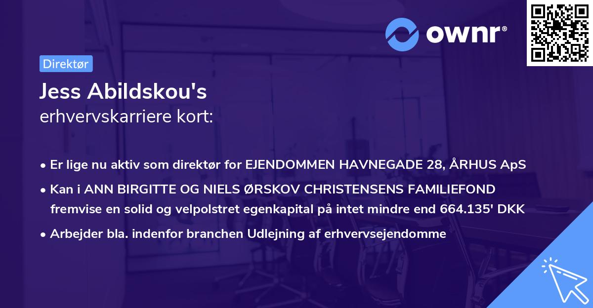 Jess Abildskou's erhvervskarriere kort