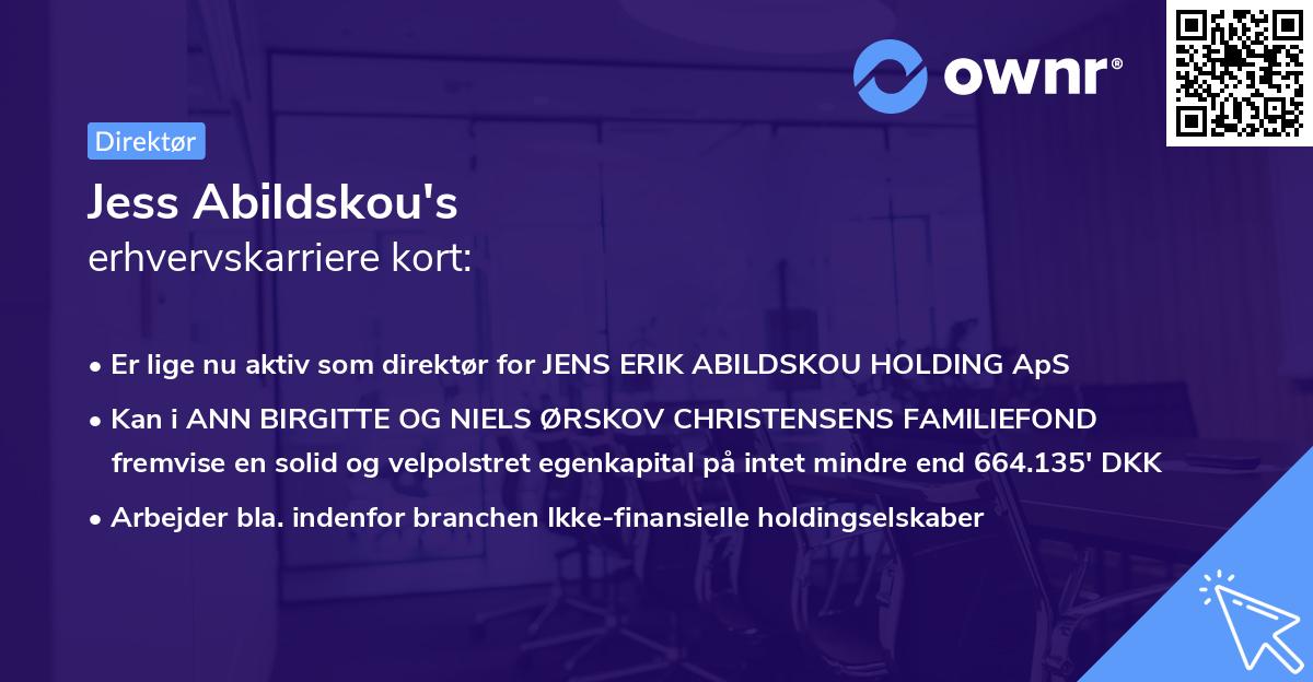 Jess Abildskou's erhvervskarriere kort