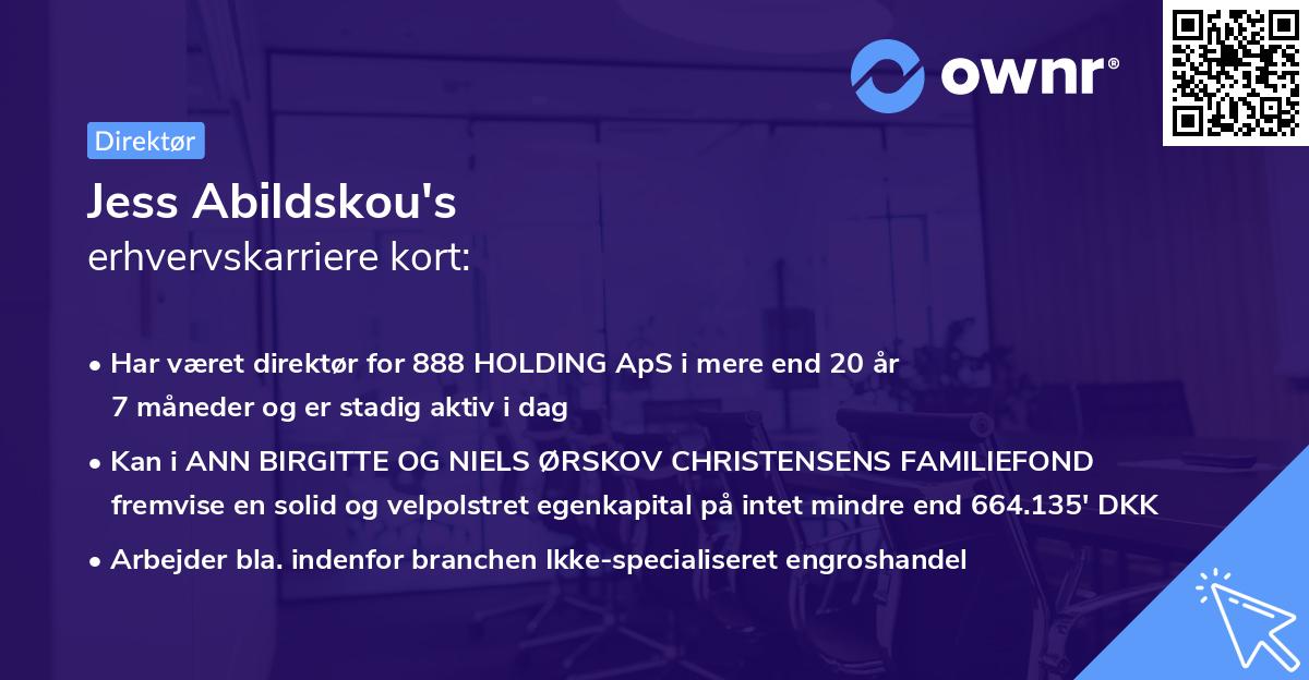 Jess Abildskou's erhvervskarriere kort