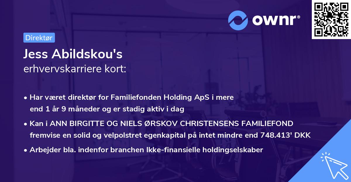 Jess Abildskou's erhvervskarriere kort