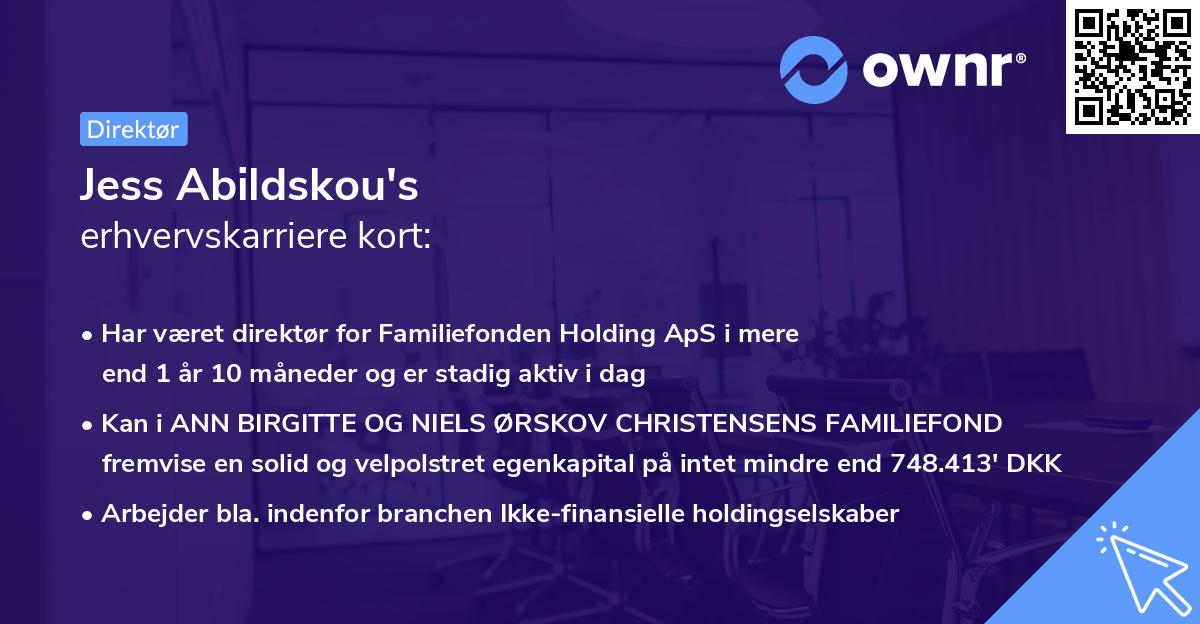 Jess Abildskou's erhvervskarriere kort