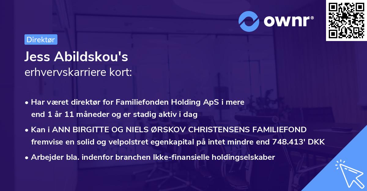 Jess Abildskou's erhvervskarriere kort