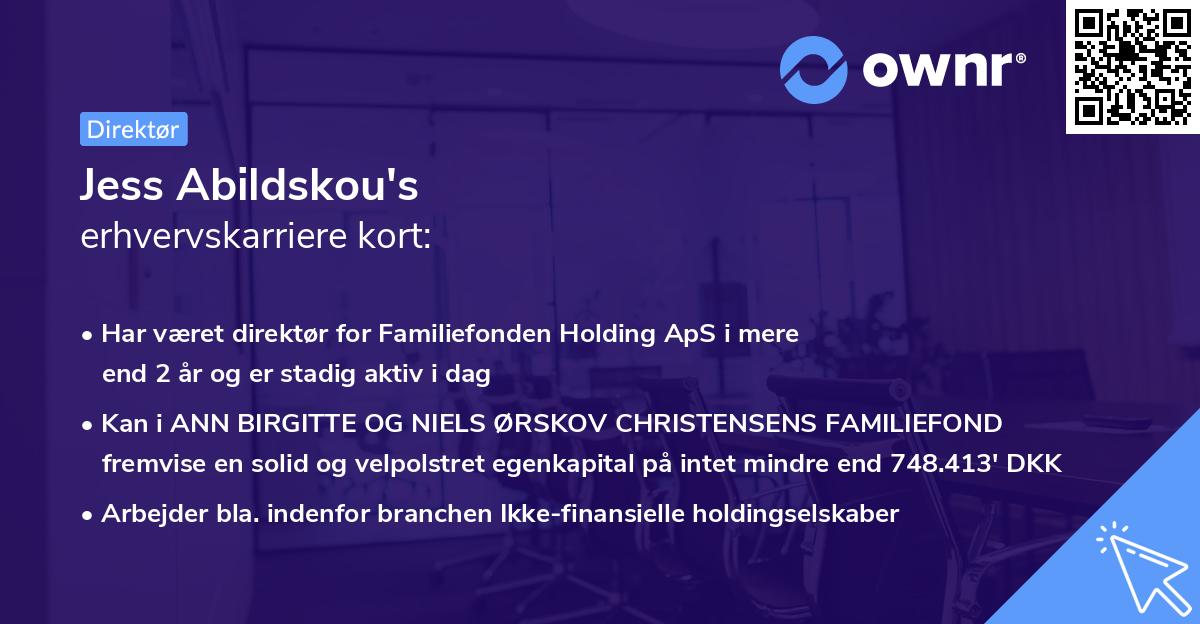 Jess Abildskou's erhvervskarriere kort