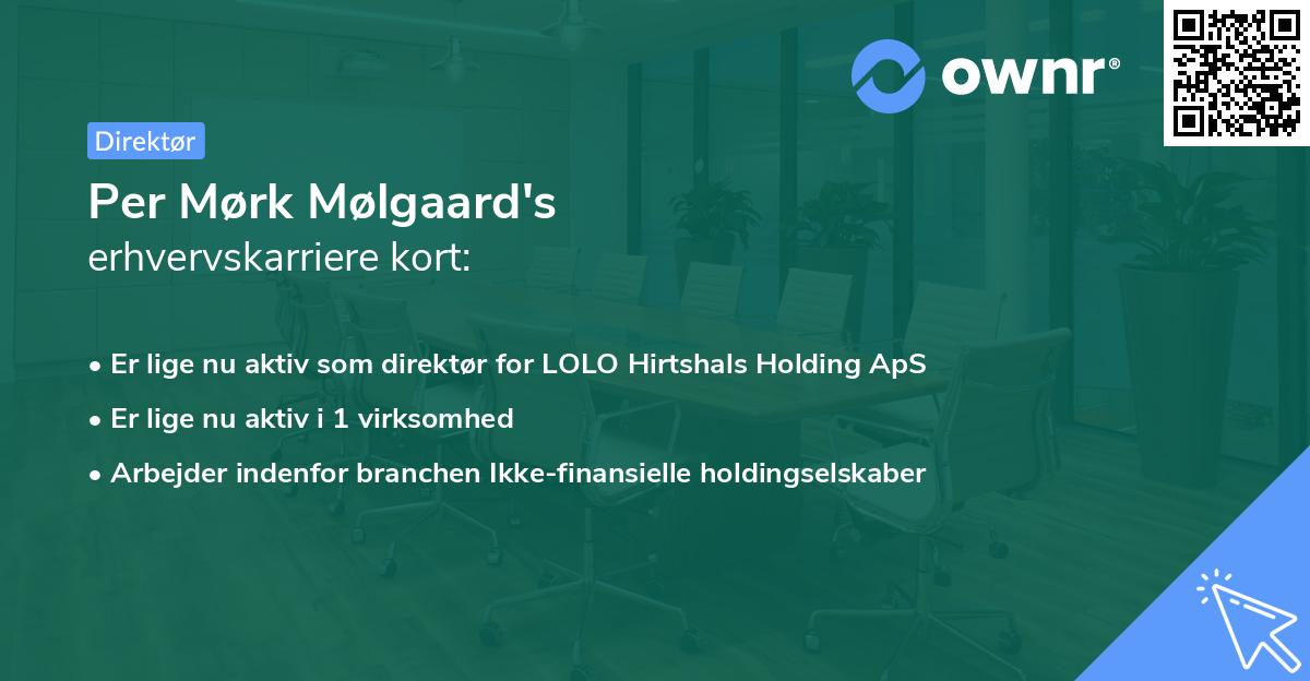 Per Mørk Mølgaard's erhvervskarriere kort