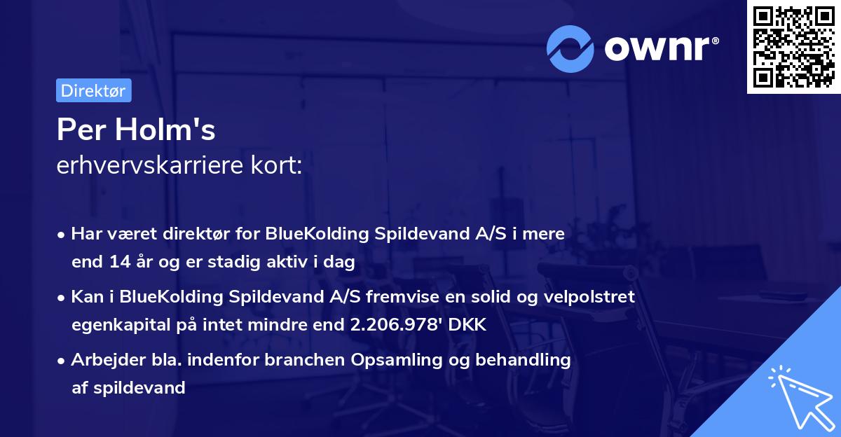 Per Holm's erhvervskarriere kort