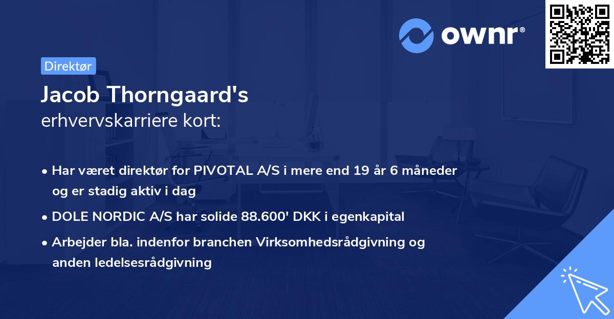 Jacob Thorngaard's erhvervskarriere kort