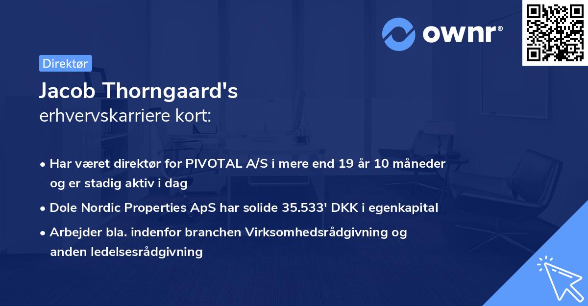 Jacob Thorngaard's erhvervskarriere kort