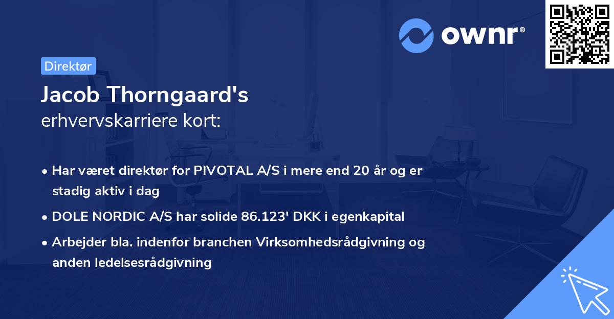 Jacob Thorngaard's erhvervskarriere kort