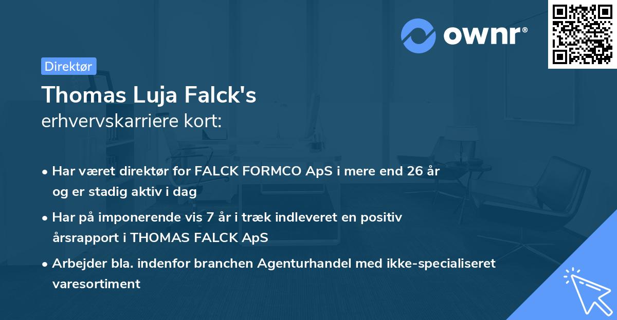 Thomas Luja Falck's erhvervskarriere kort