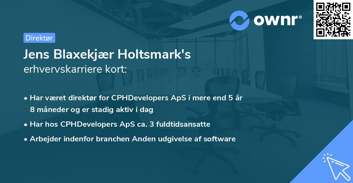 Jens Blaxekjær Holtsmark's erhvervskarriere kort