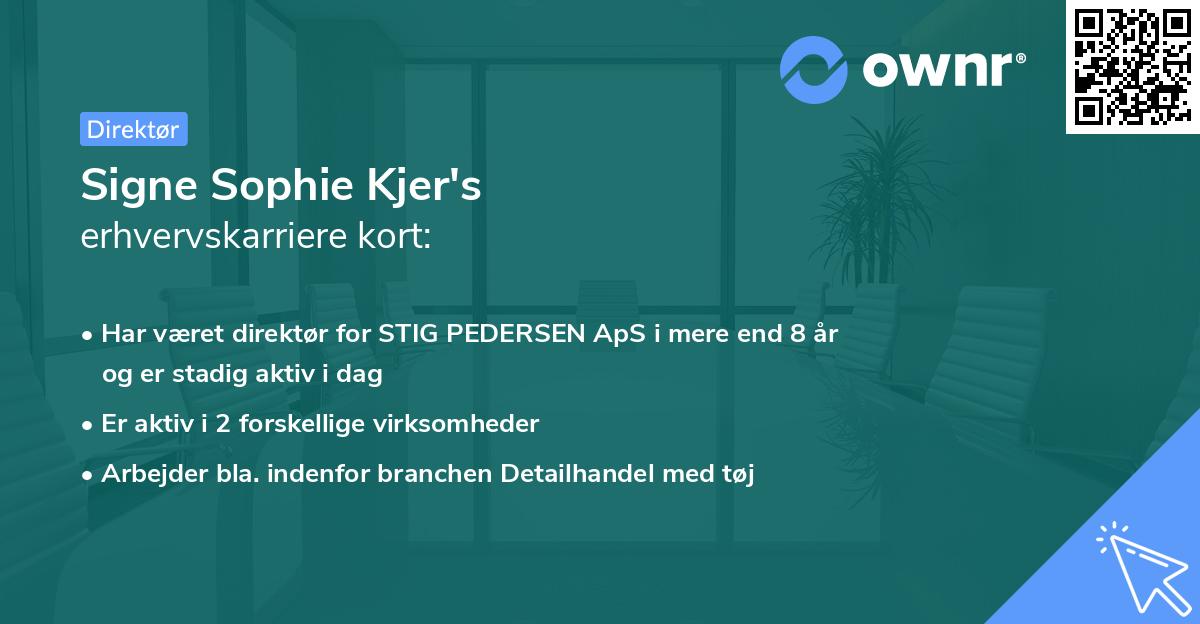Signe Sophie Kjer's erhvervskarriere kort