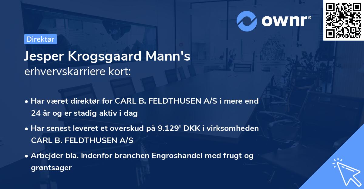 Jesper Krogsgaard Mann's erhvervskarriere kort