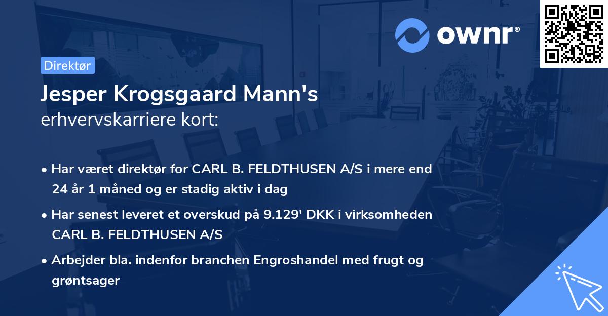 Jesper Krogsgaard Mann's erhvervskarriere kort