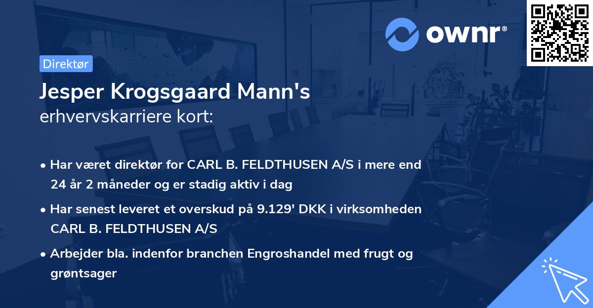 Jesper Krogsgaard Mann's erhvervskarriere kort