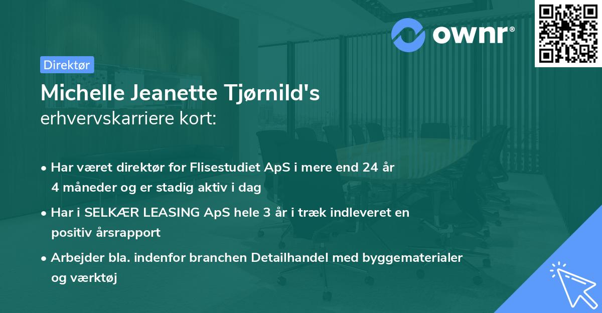 Michelle Jeanette Tjørnild's erhvervskarriere kort