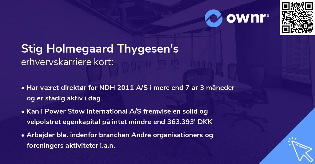 Stig Holmegaard Thygesen's erhvervskarriere kort