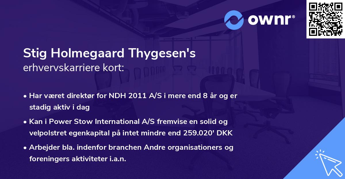 Stig Holmegaard Thygesen's erhvervskarriere kort