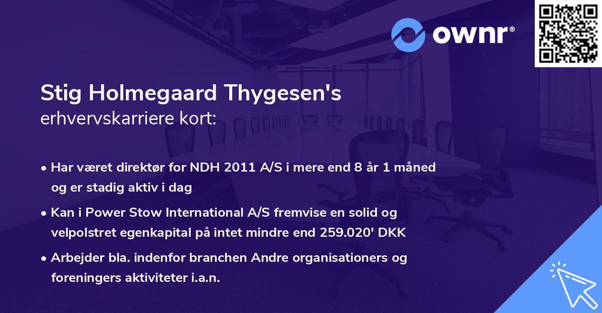 Stig Holmegaard Thygesen's erhvervskarriere kort