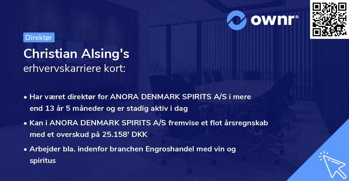 Christian Alsing's erhvervskarriere kort