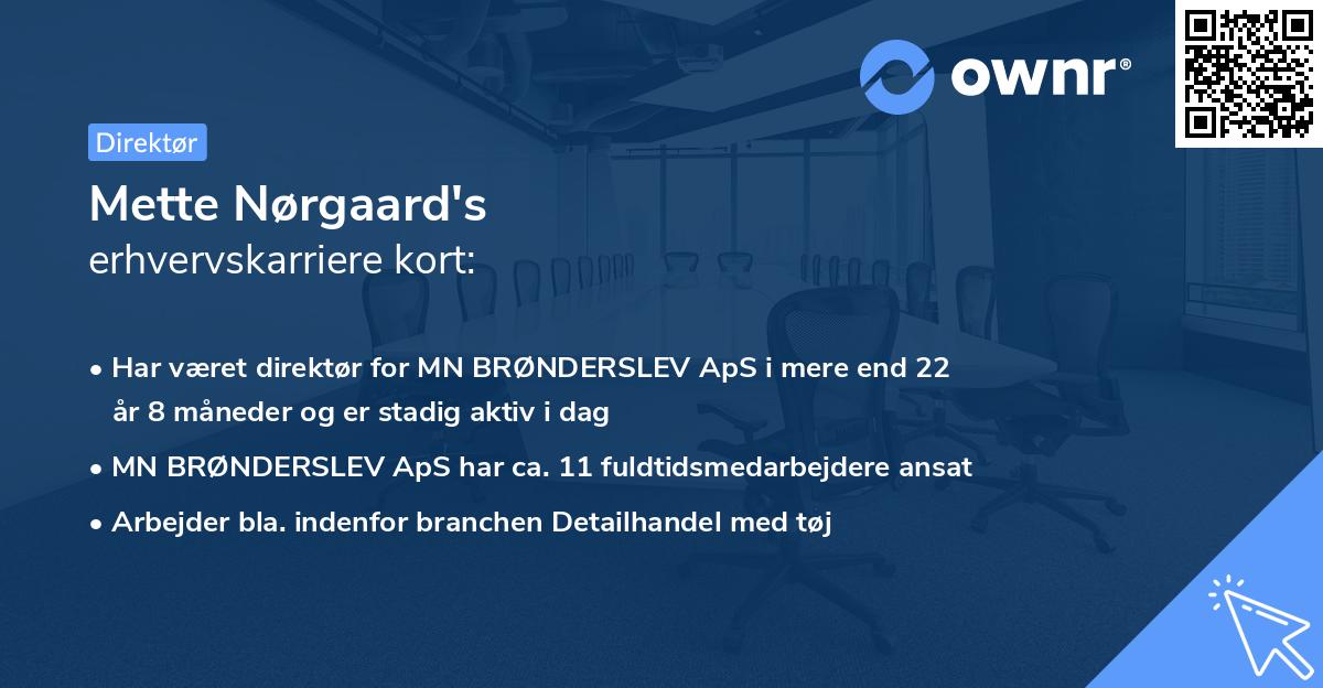 Mette Nørgaard's erhvervskarriere kort