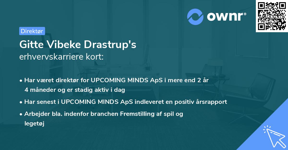 Gitte Vibeke Drastrup's erhvervskarriere kort