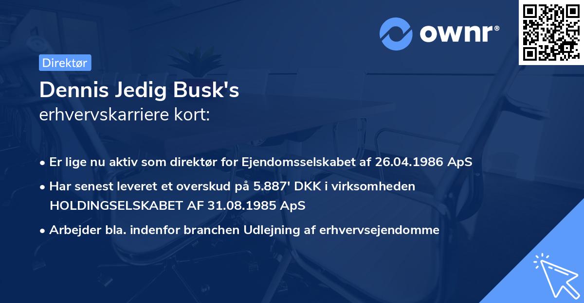 Dennis Jedig Busk's erhvervskarriere kort