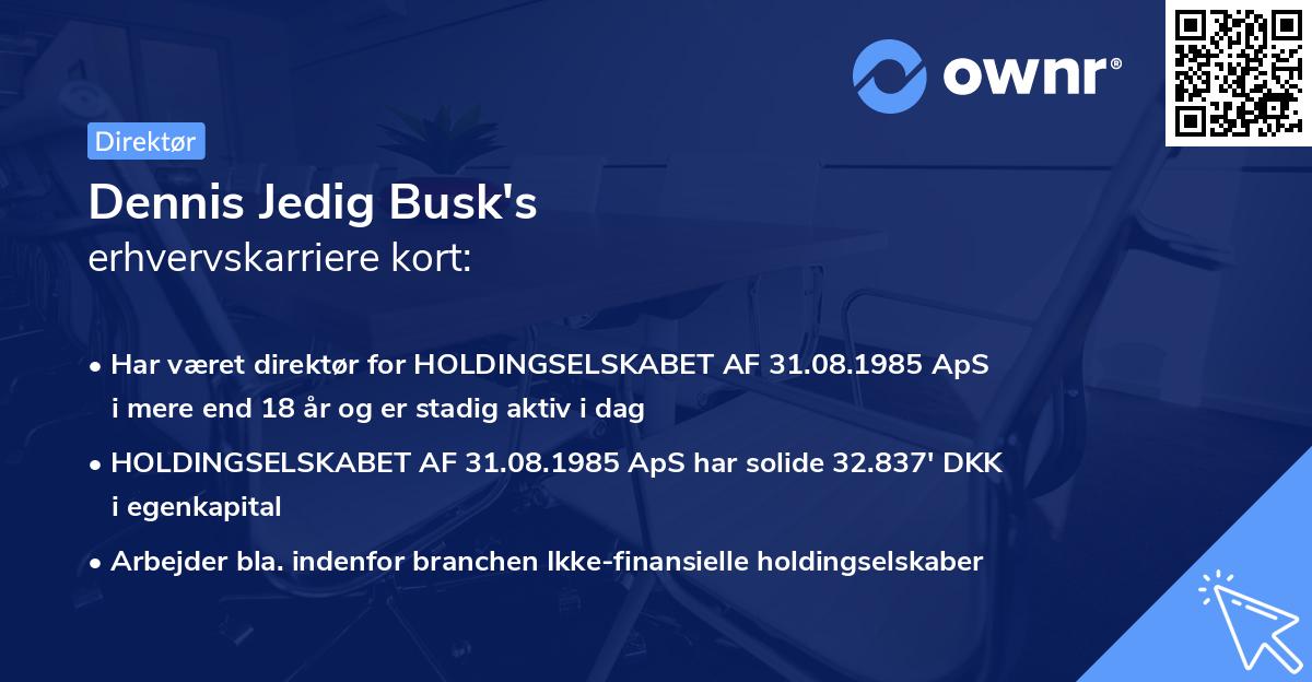 Dennis Jedig Busk's erhvervskarriere kort