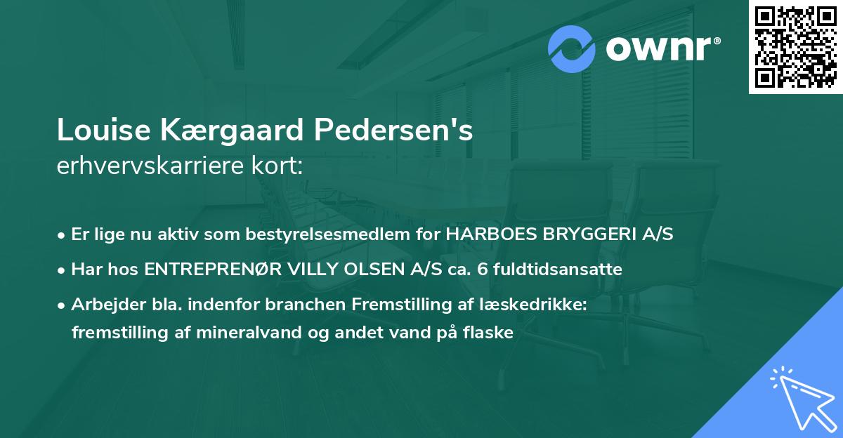 Louise Kærgaard Pedersen's erhvervskarriere kort
