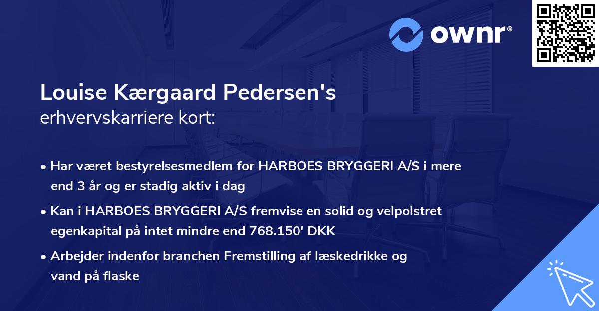 Louise Kærgaard Pedersen's erhvervskarriere kort