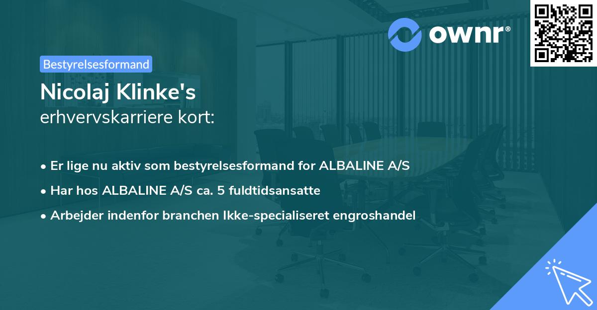 Nicolaj Klinke's erhvervskarriere kort