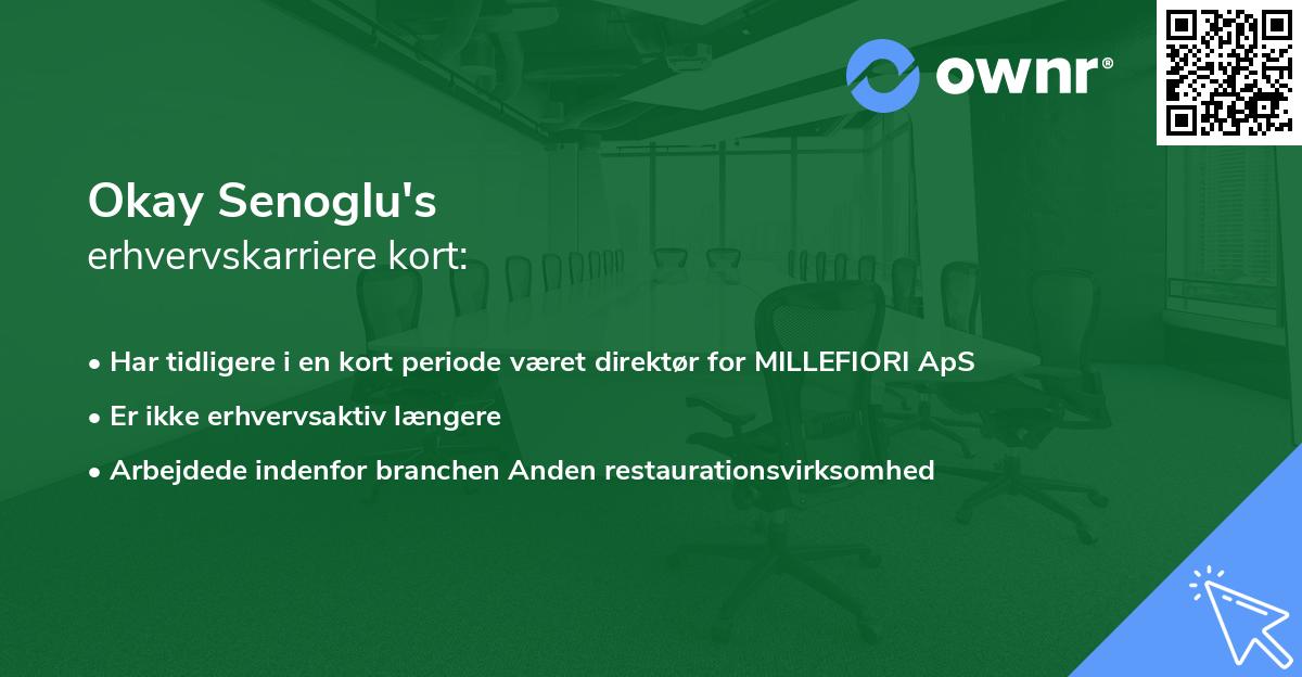 Okay Senoglu's erhvervskarriere kort
