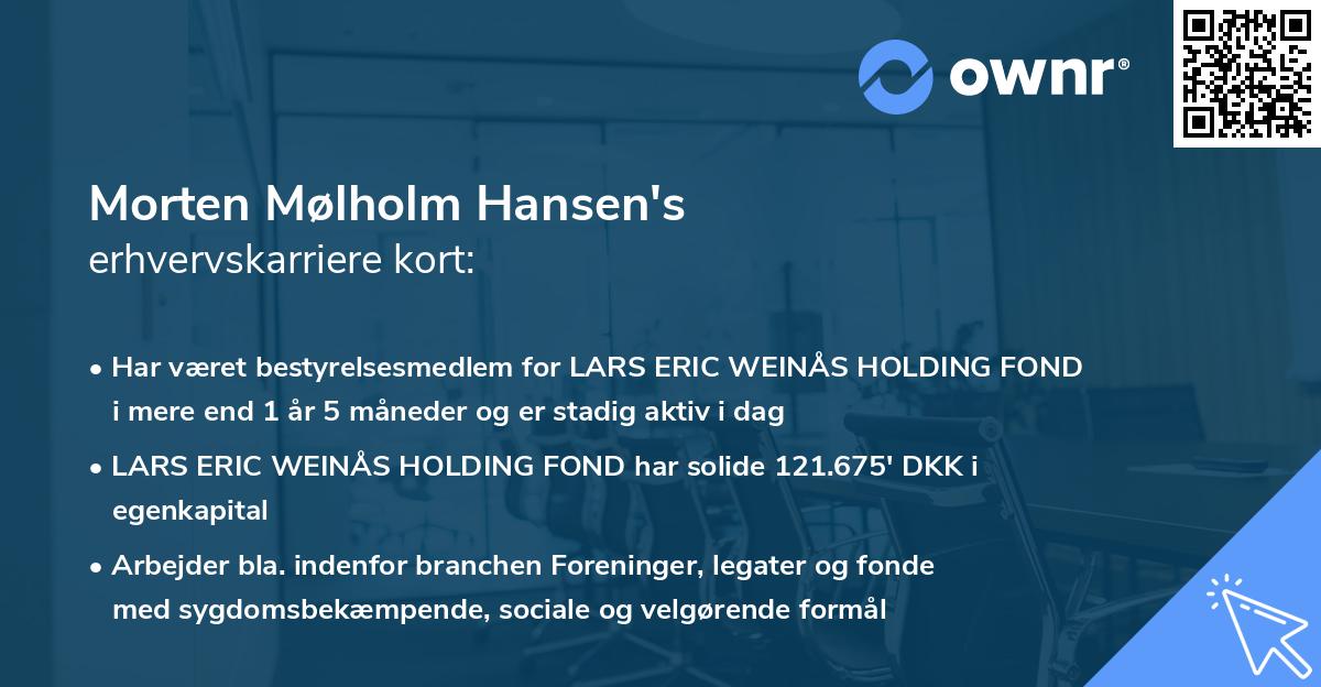 Morten Mølholm Hansen's erhvervskarriere kort