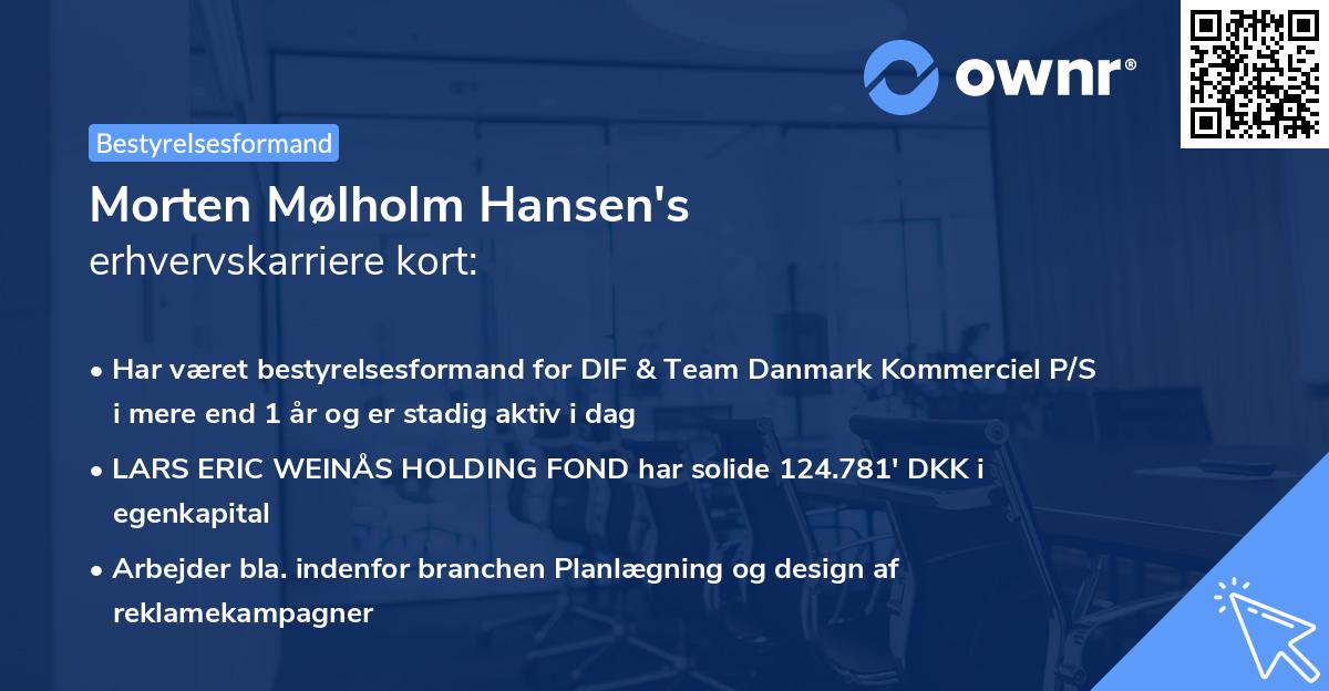 Morten Mølholm Hansen's erhvervskarriere kort