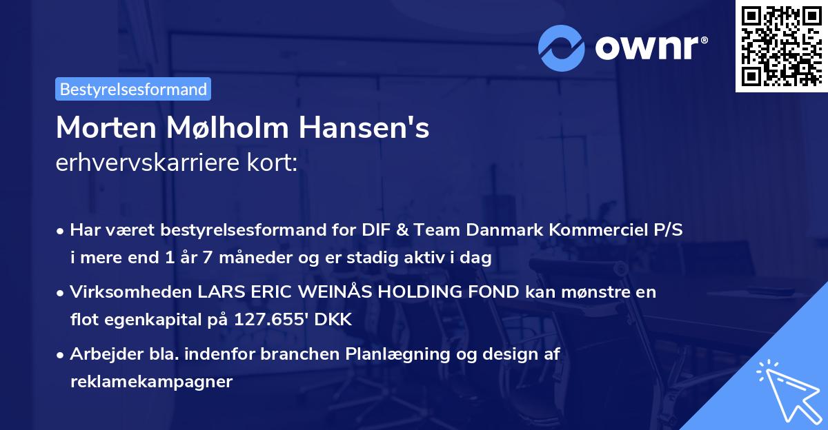 Morten Mølholm Hansen's erhvervskarriere kort