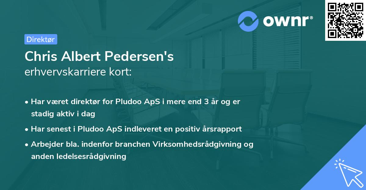 Chris Albert Pedersen's erhvervskarriere kort