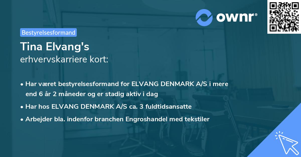 Tina Elvang's erhvervskarriere kort
