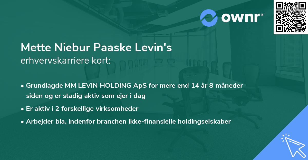 Mette Niebur Paaske Levin's erhvervskarriere kort