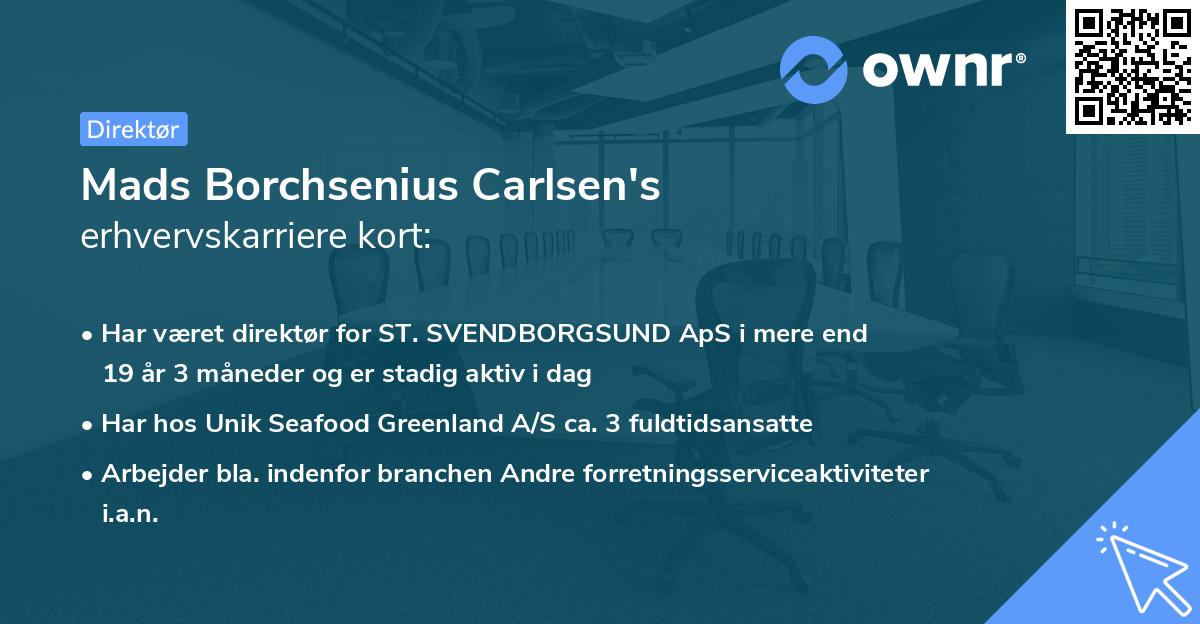 Mads Borchsenius Carlsen's erhvervskarriere kort
