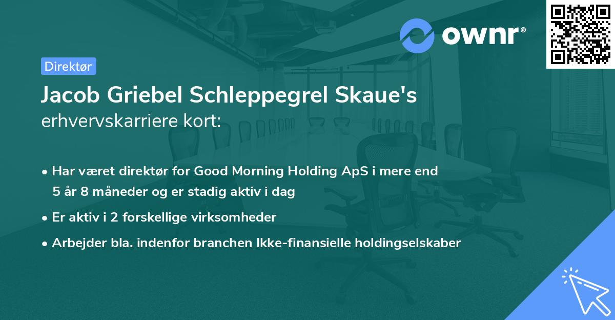 Jacob Griebel Schleppegrel Skaue's erhvervskarriere kort