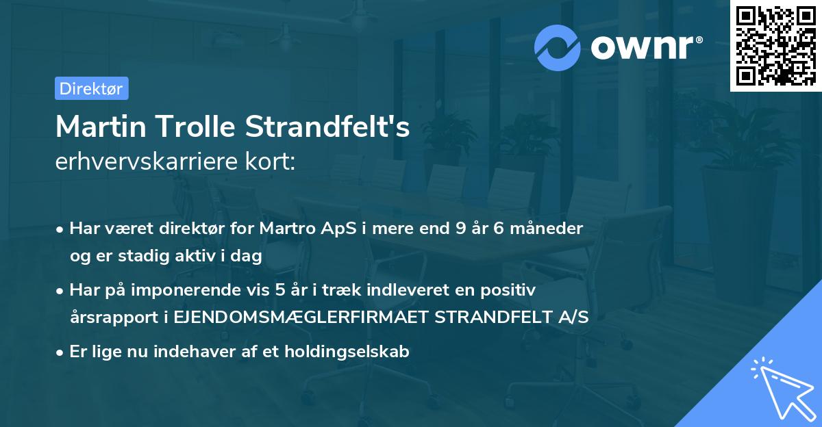 Martin Trolle Strandfelt's erhvervskarriere kort