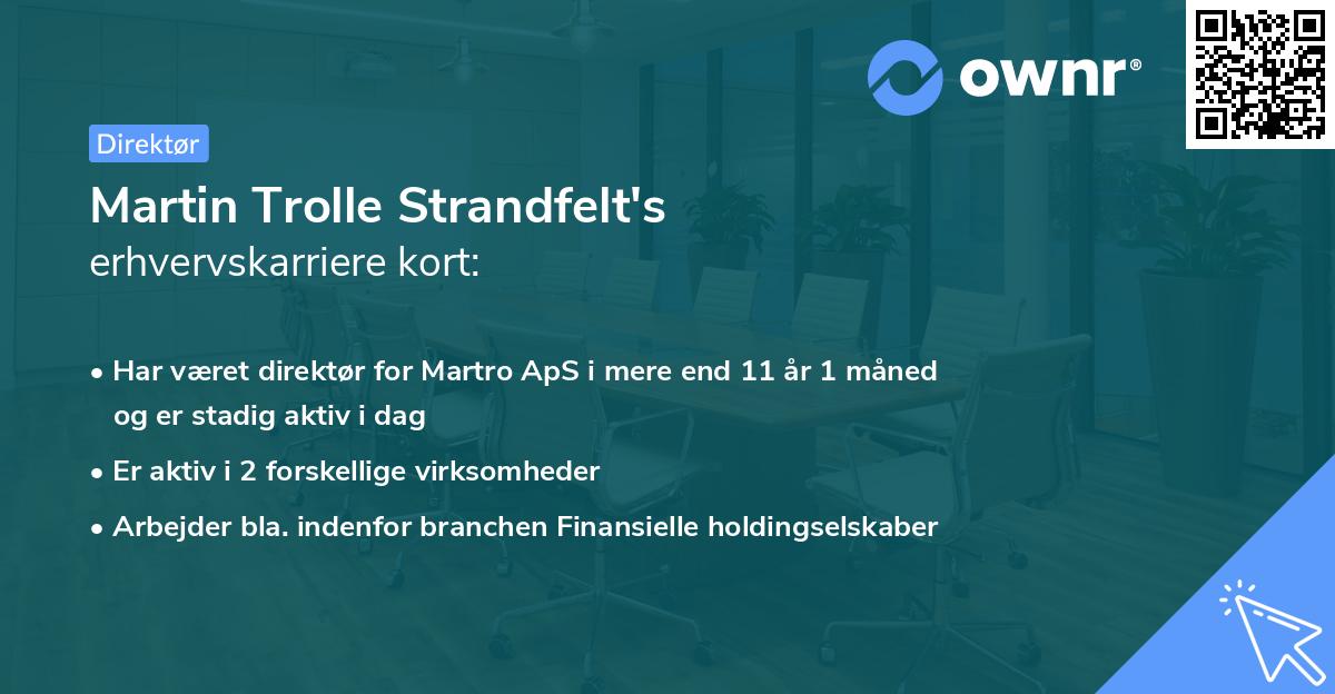 Martin Trolle Strandfelt's erhvervskarriere kort