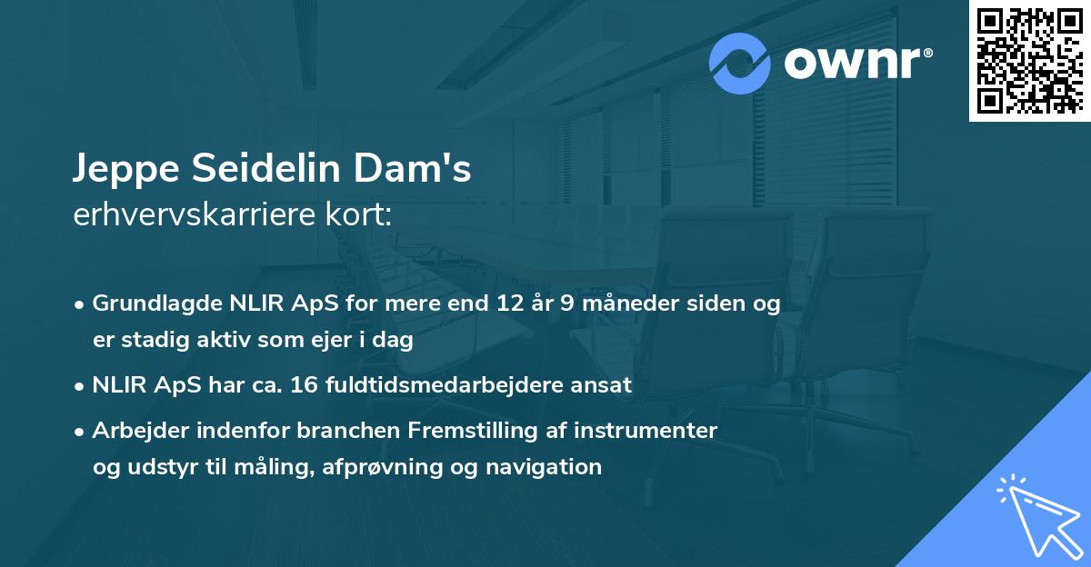 Jeppe Seidelin Dam's erhvervskarriere kort