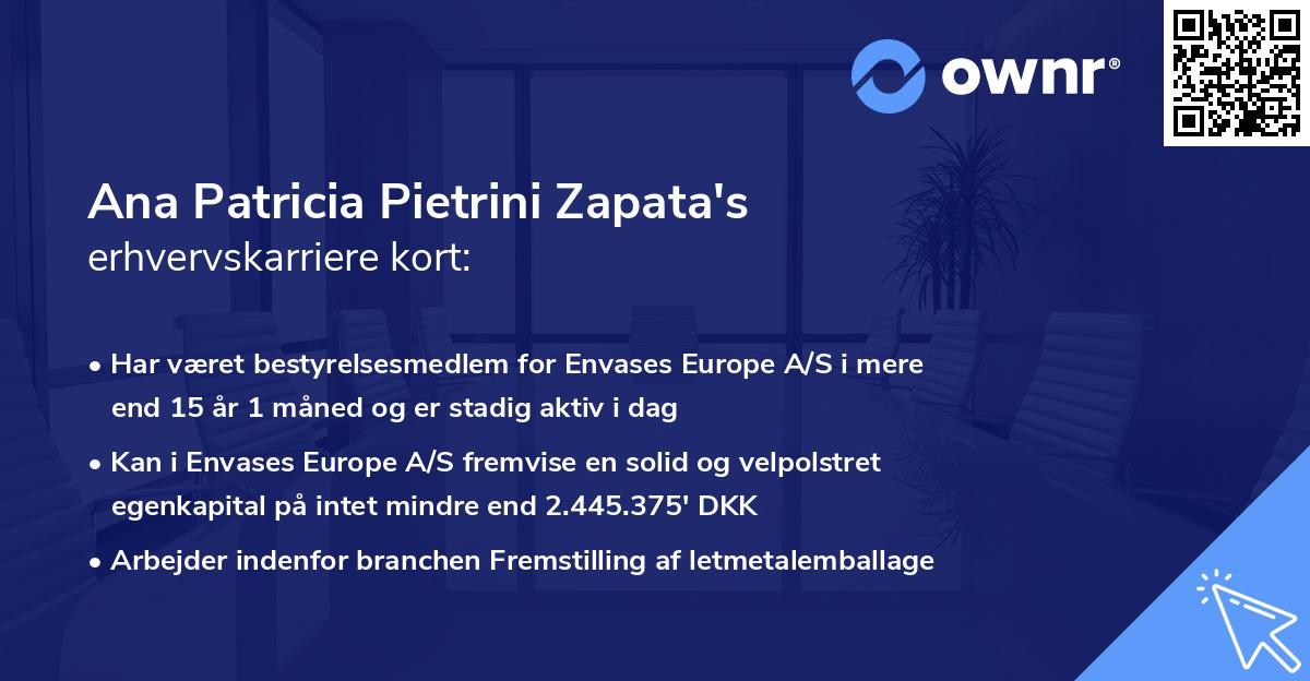 Ana Patricia Pietrini Zapata's erhvervskarriere kort