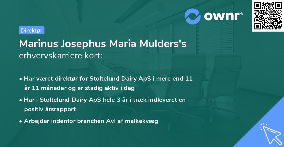 Marinus Josephus Maria Mulders's erhvervskarriere kort