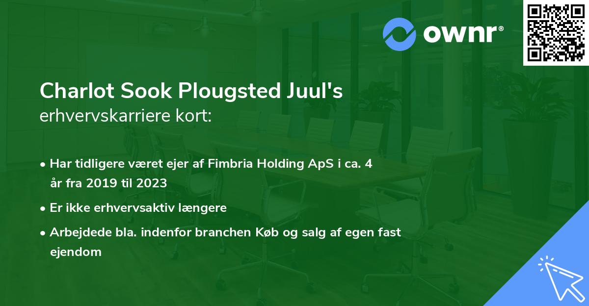 Charlot Sook Plougsted Juul's erhvervskarriere kort